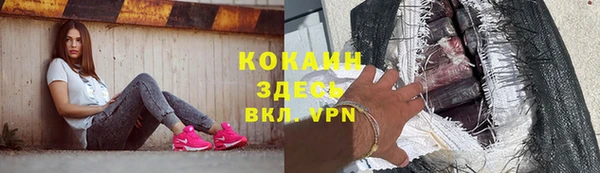 спайс Арсеньев