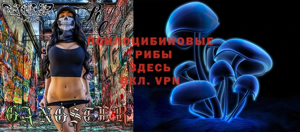 спайс Арсеньев