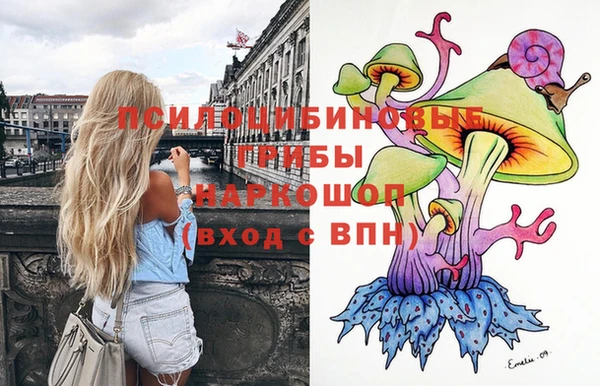 спайс Арсеньев