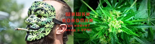 спайс Арсеньев